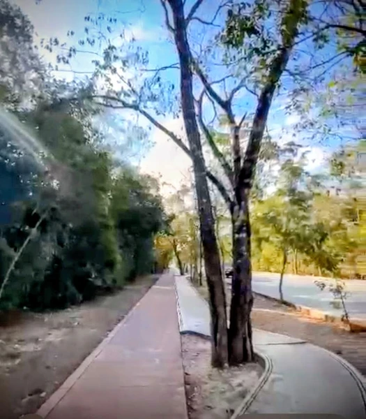 Lote en venta · Ciudad Mayakoba, Playa del Carmen, Solidaridad, Quintana Roo
