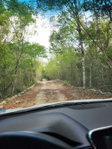 Lote en venta · Tulum, Quintana Roo