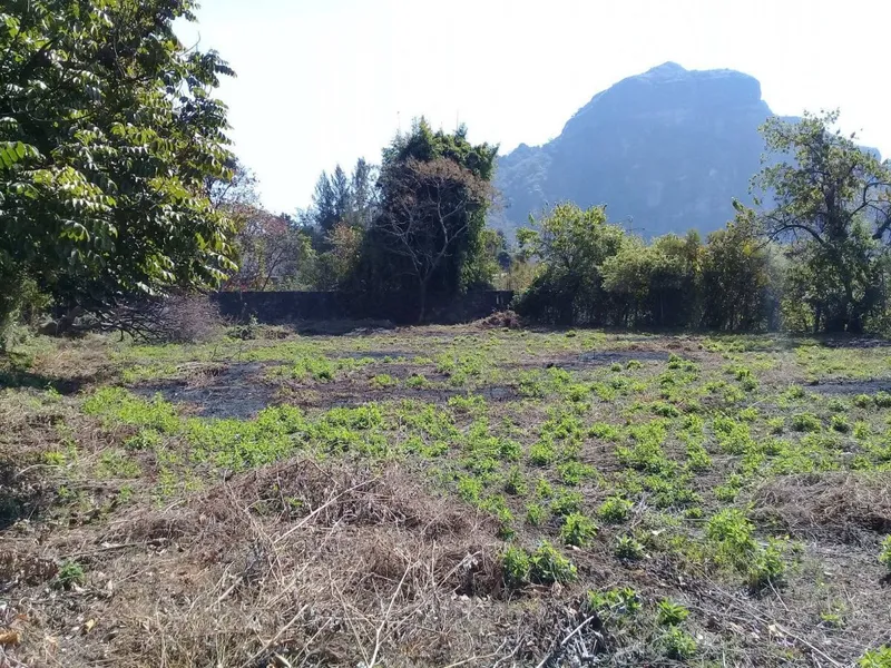 Foto 6