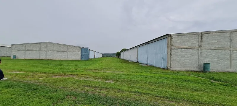 Foto 45