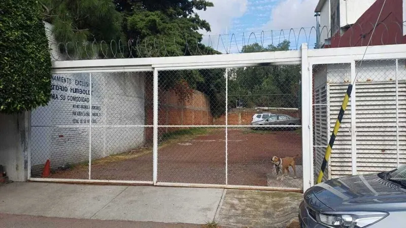 Foto 47