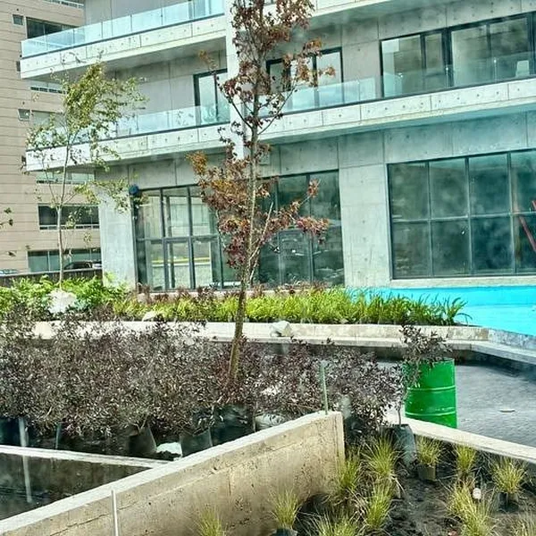 Foto 15