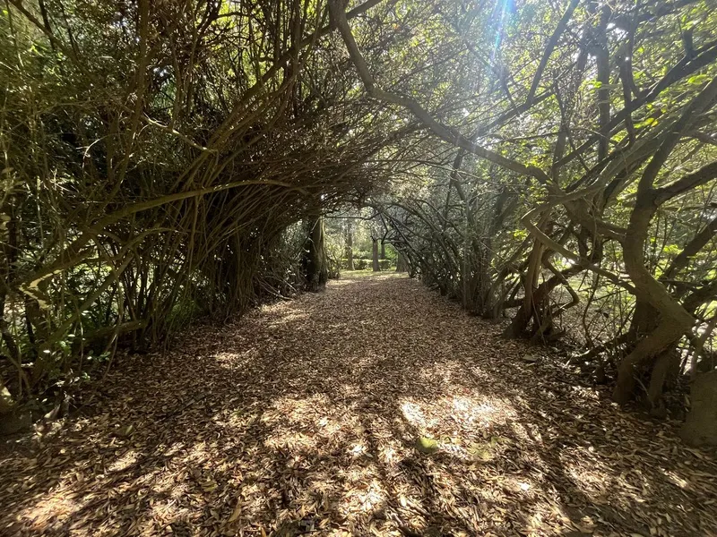 Lote en venta · Tepetlixpa, Tepetlixpa, Estado de México