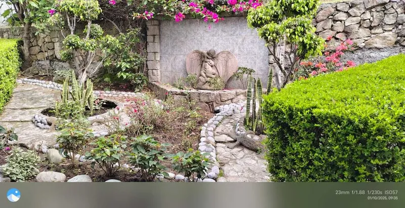 Foto 19