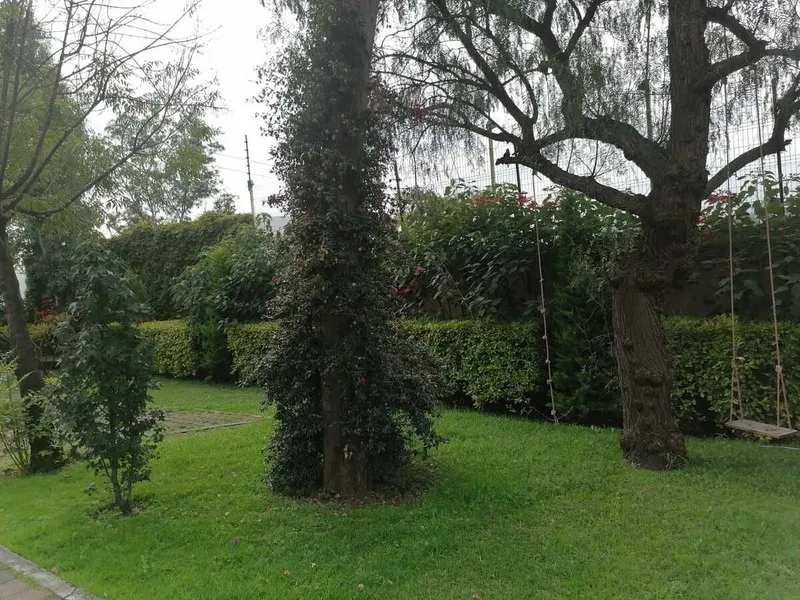 Foto 13