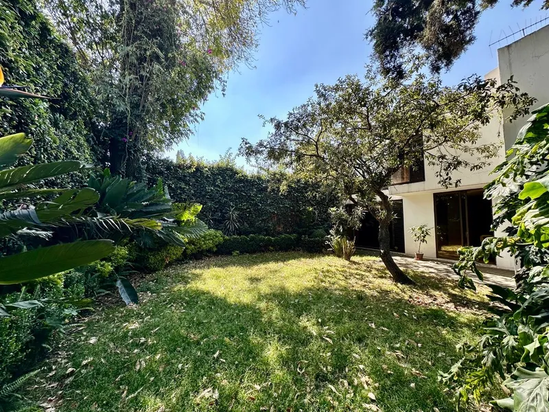 Foto 13