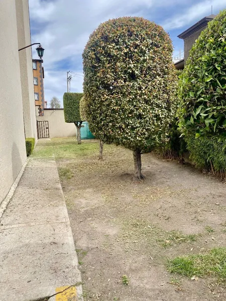 Foto 24