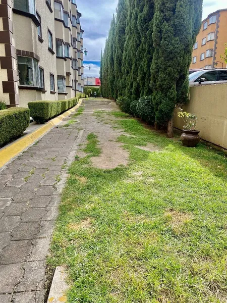 Foto 19