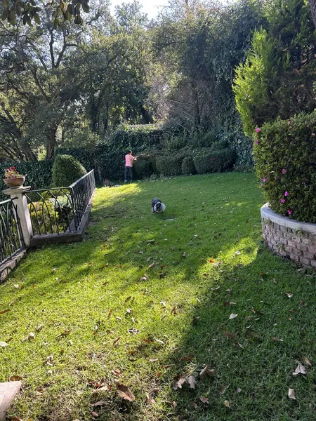 Foto 18