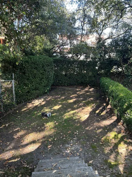 Foto 28