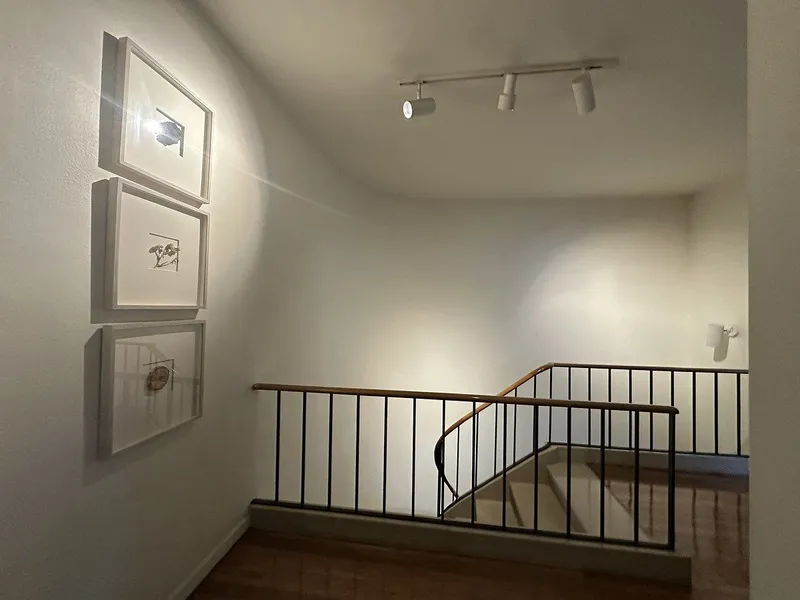 Foto 10