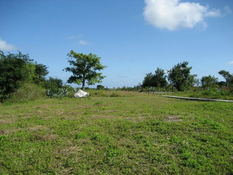 Foto 15