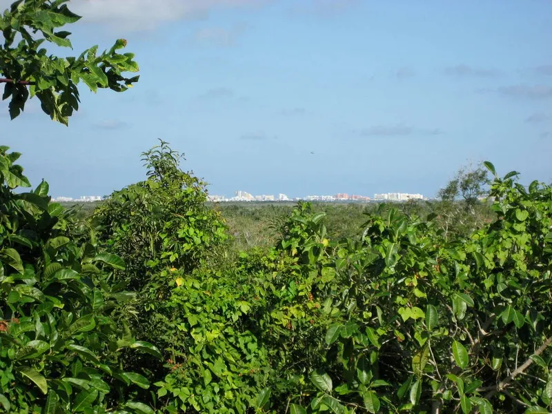 Lote en venta · Cancún, Benito Juárez, Quintana Roo