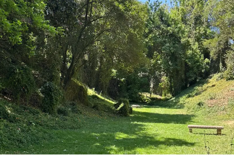 Foto 14