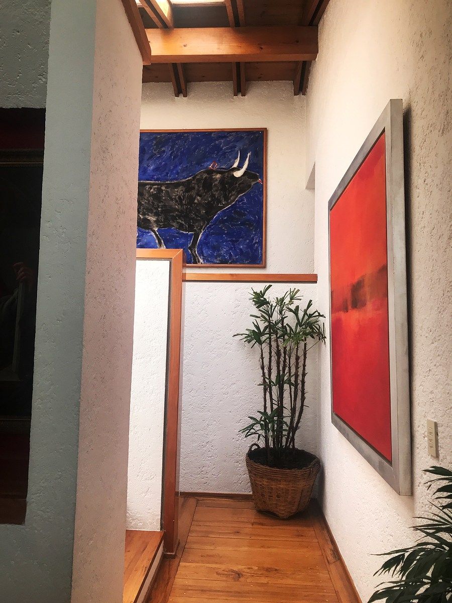 Foto 8