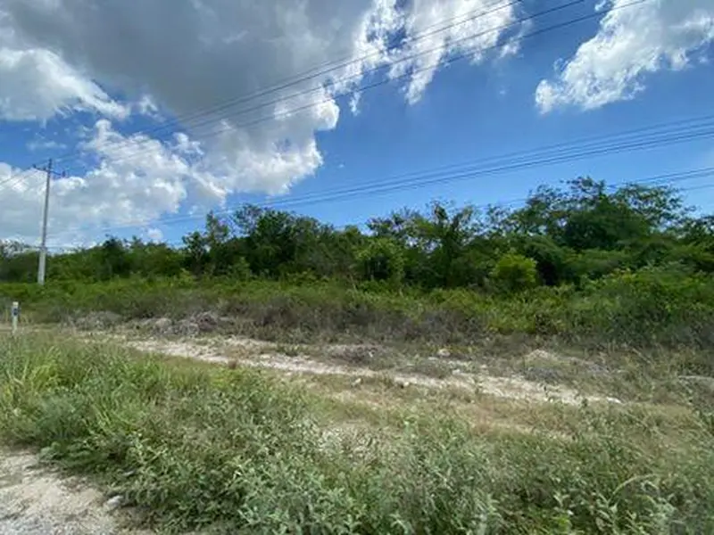 Foto 7