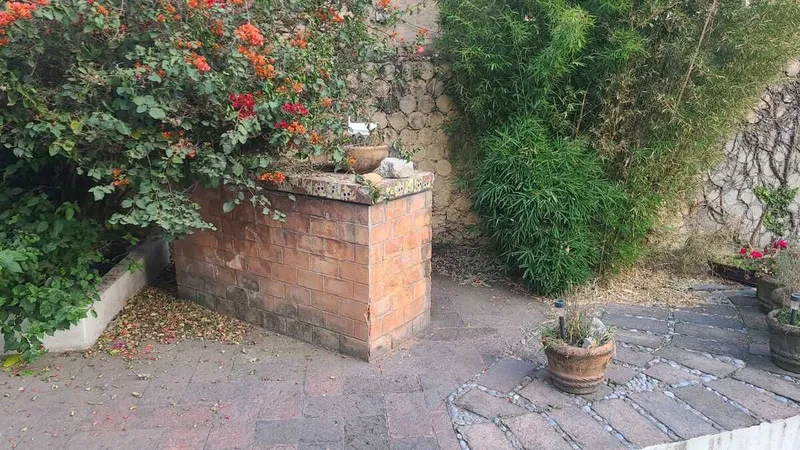 Foto 7