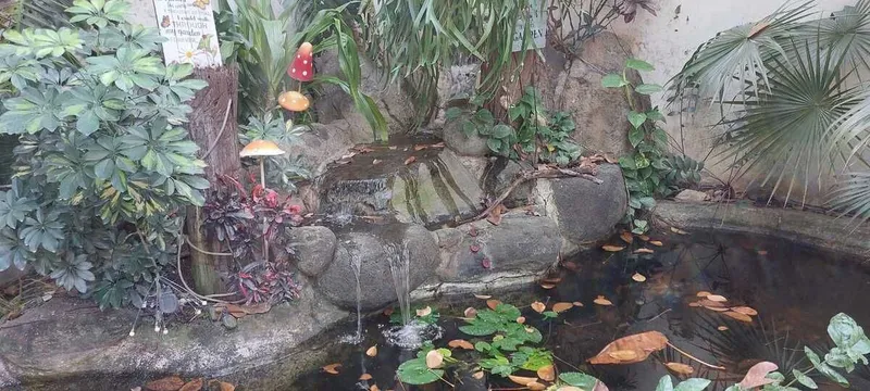 Foto 10