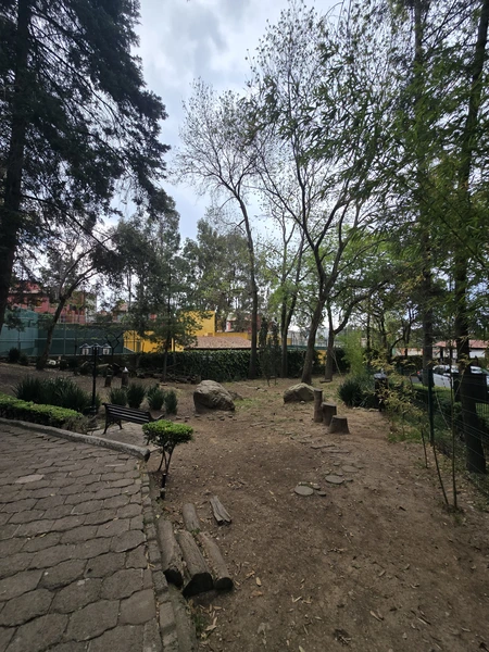 Foto 20