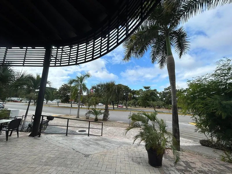 Foto 45