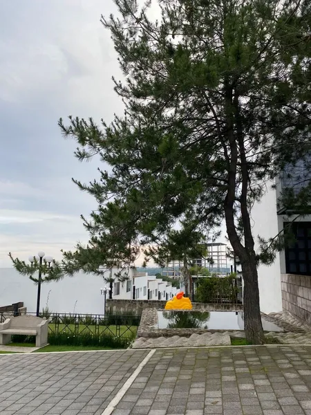 Foto 11