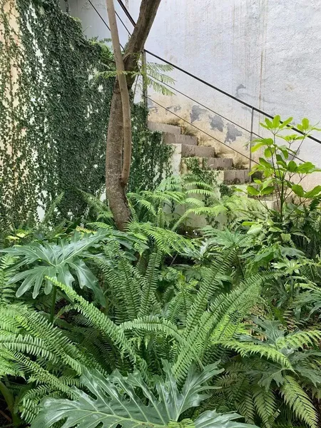 Foto 13
