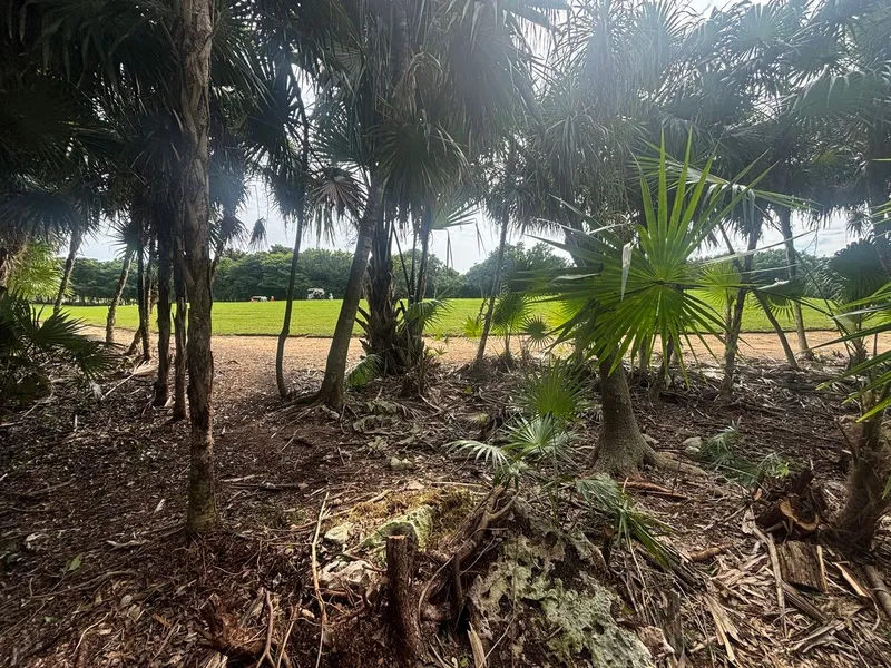 Lote en venta · Akumal, Tulum, Quintana Roo