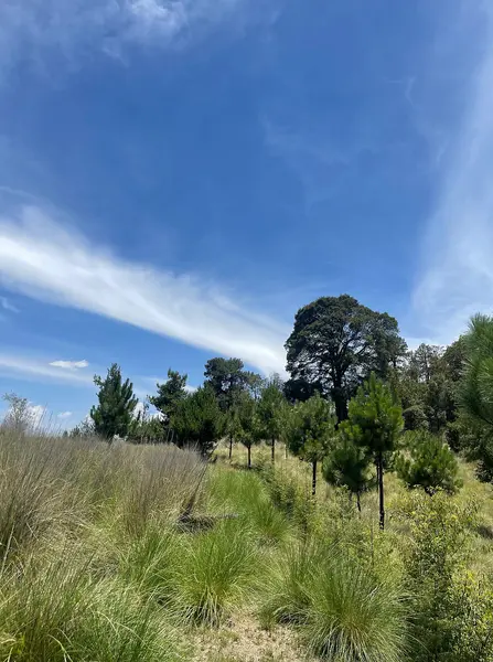 Lote en venta · San Miguel Ameyalco, Lerma, Estado de México