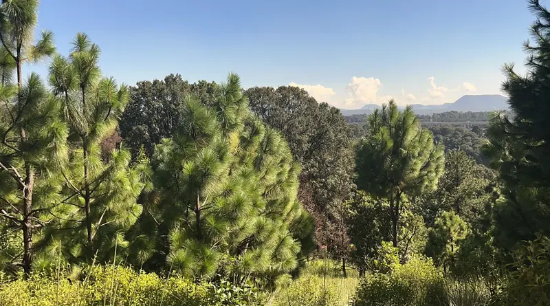 Lote en venta · San Miguel Ameyalco, Lerma, Estado de México