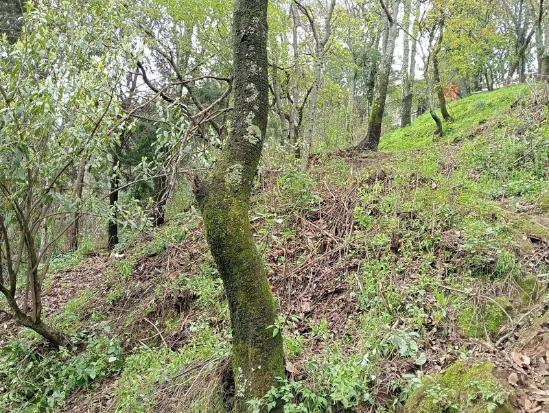 Lote en venta · Ampliación El Yaqui, El Yaqui, Cuajimalpa de Morelos, Ciudad de México