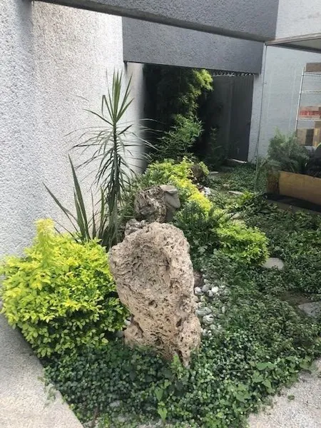 Casa en alquiler · Del Valle, San Pedro Garza García, Nuevo León