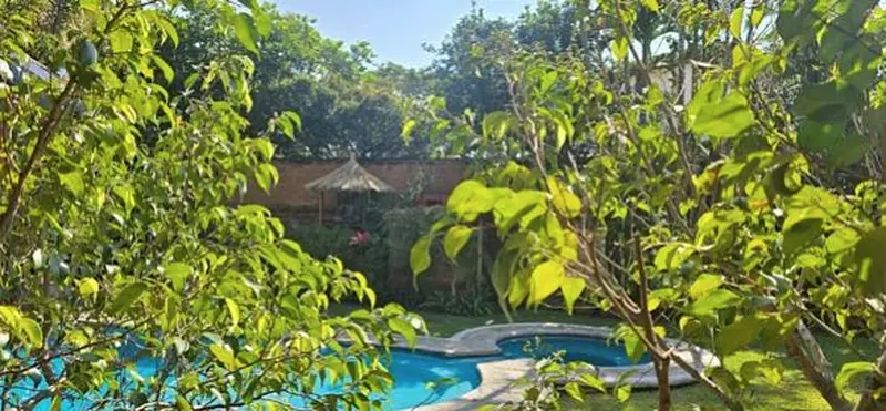 Foto 38