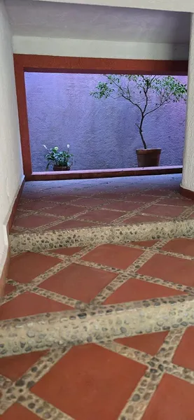 Foto 19