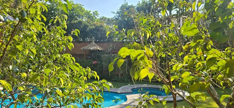 Foto 5