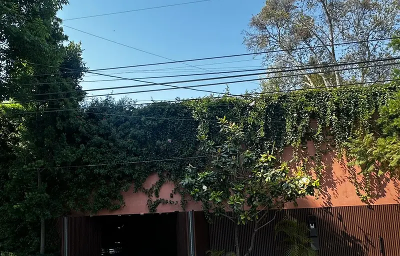 Foto 14
