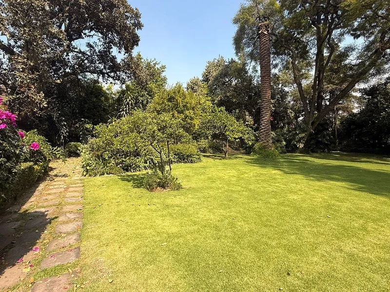 Lote en venta · San Angel, Álvaro Obregón, Ciudad de México
