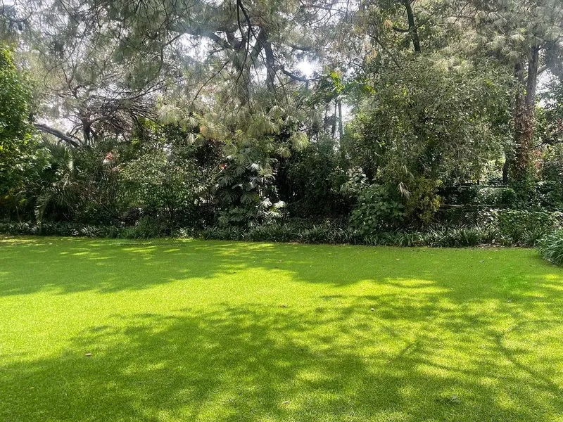 Lote en venta · San Angel, Álvaro Obregón, Ciudad de México
