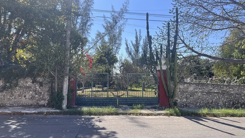 Foto 19