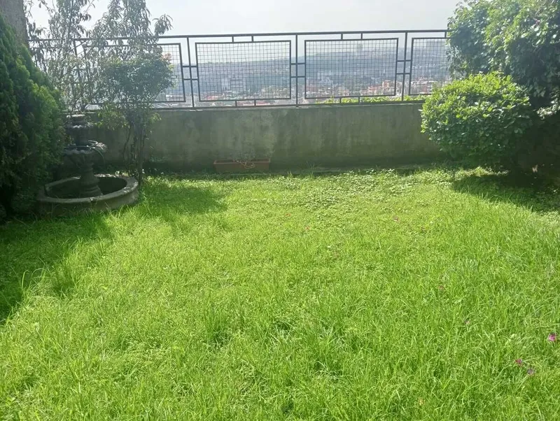 Foto 19