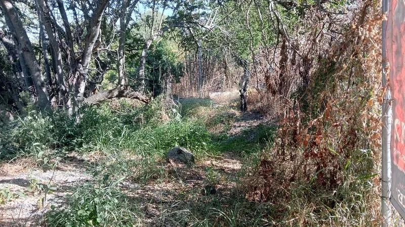 Foto 11