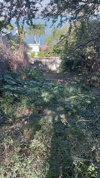 Foto 9
