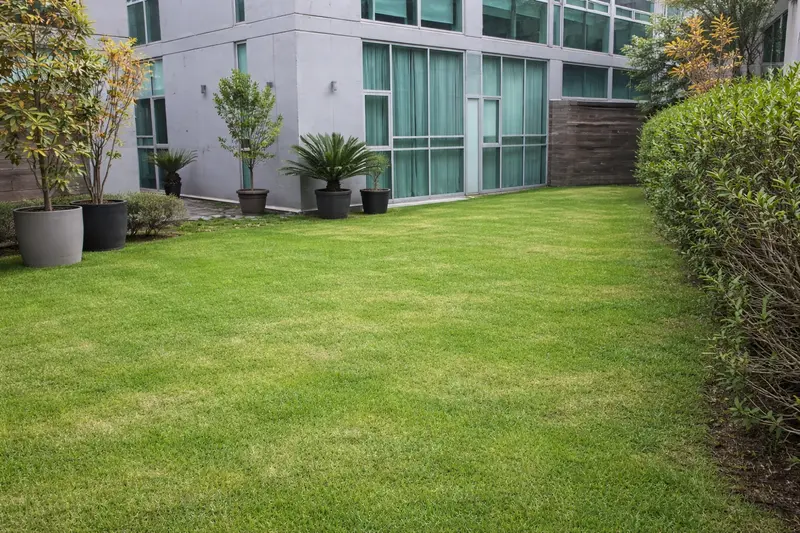 Departamento en venta · Lomas del Chamizal, Cuajimalpa de Morelos, Ciudad de México Departamento en venta · Lomas del Chamizal, Cuajimalpa de Morelos, Ciudad de México