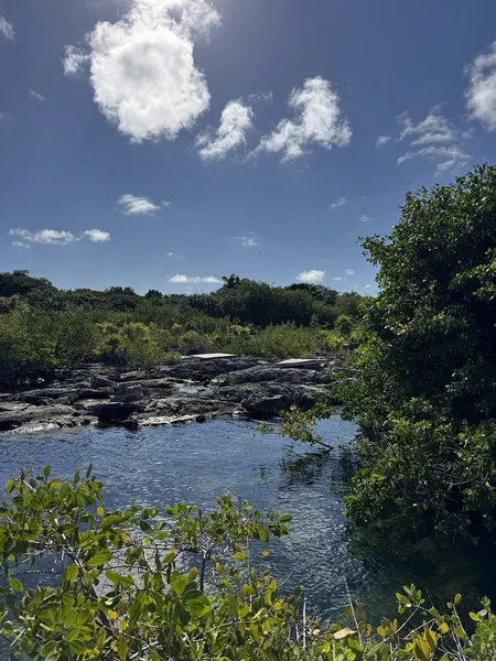 Casa en venta · Akumal, Tulum, Quintana Roo Casa en venta · Akumal, Tulum, Quintana Roo