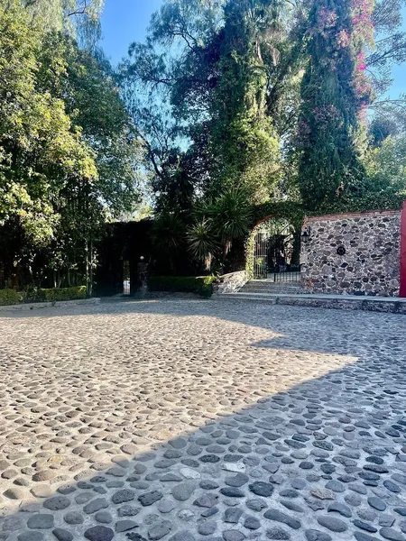 Foto 6