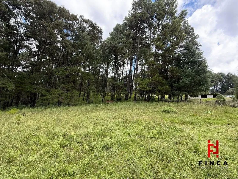 Lote en venta · Los Saúcos, Valle de Bravo, Estado de México