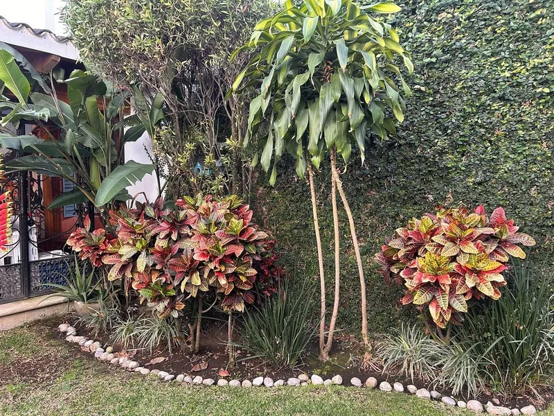 Foto 10