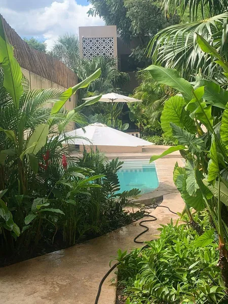 Casa en venta · Mérida Centro, Mérida, Yucatán