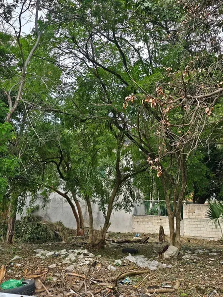 Lote en venta · Ejidal, Tulum, Quintana Roo