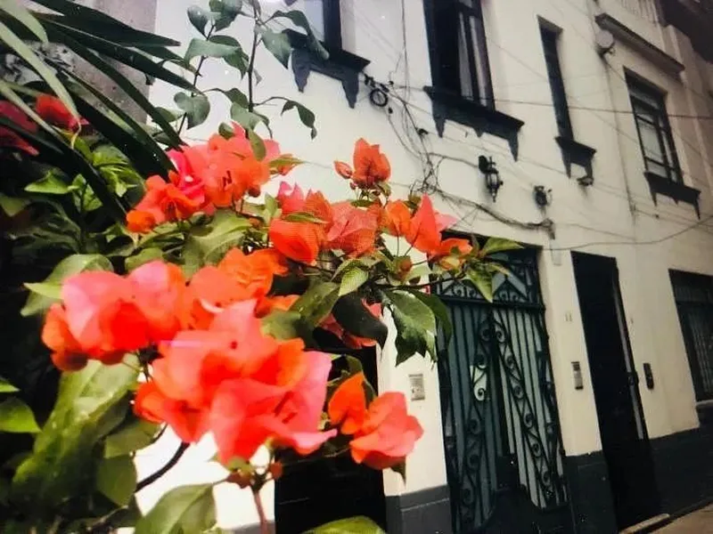Foto 49