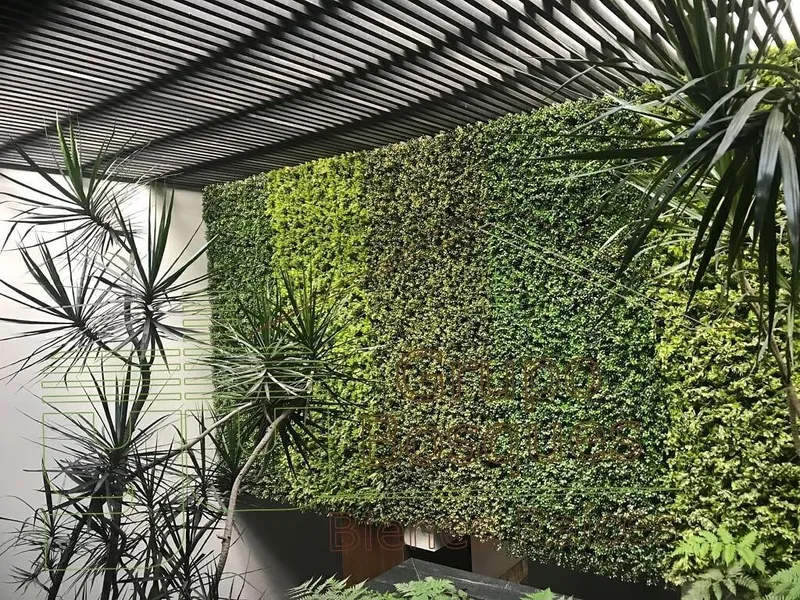Foto 10